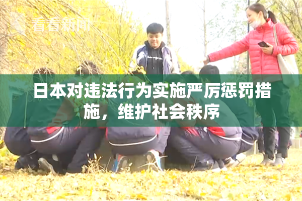 日本对违法行为实施严厉惩罚措施，维护社会秩序