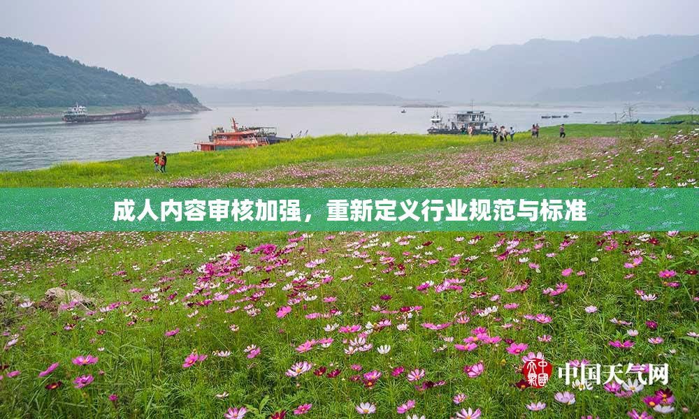 成人内容审核加强，重新定义行业规范与标准