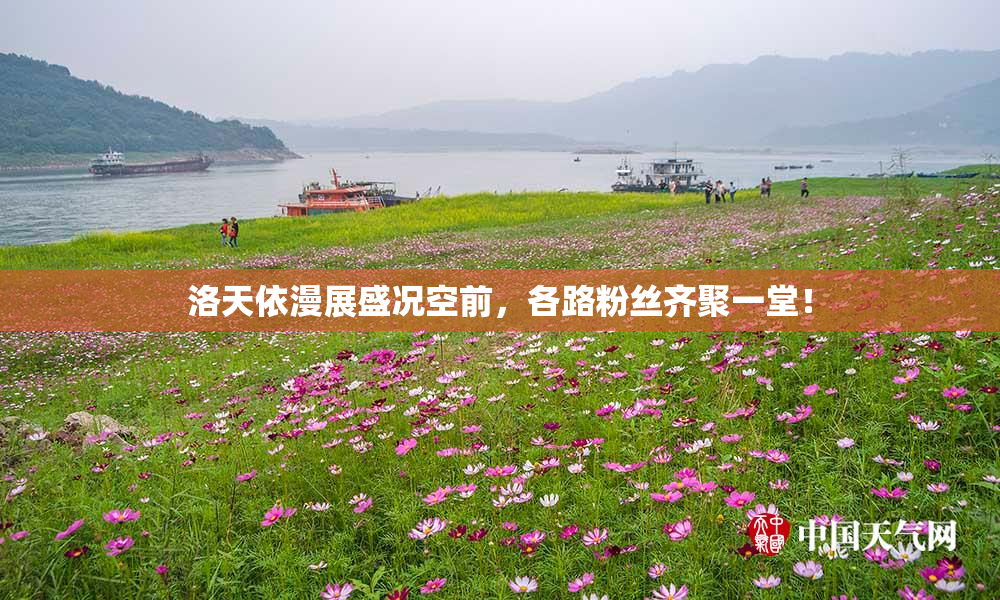 洛天依漫展盛况空前，各路粉丝齐聚一堂！