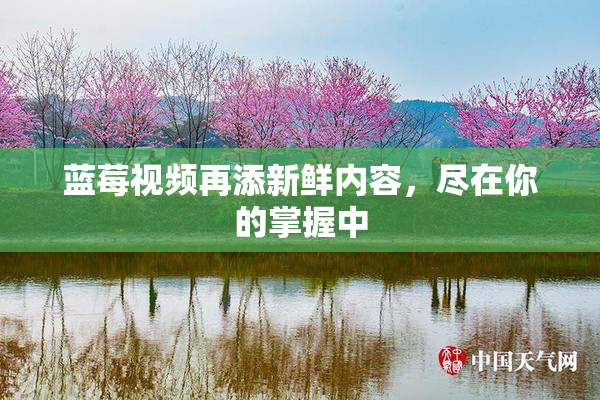 蓝莓视频再添新鲜内容，尽在你的掌握中