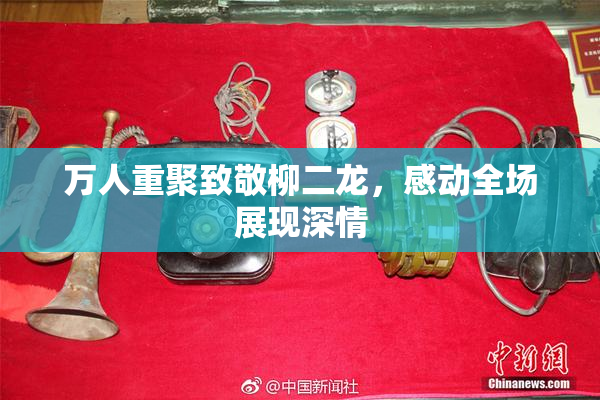 万人重聚致敬柳二龙，感动全场展现深情