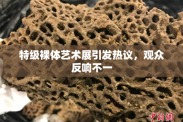 特级裸体艺术展引发热议，观众反响不一