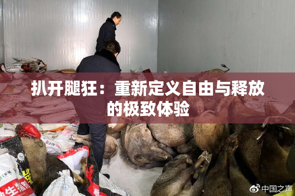 扒开腿狂：重新定义自由与释放的极致体验