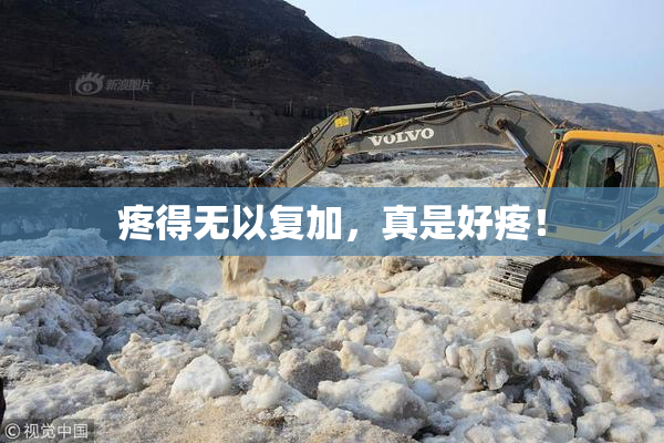 疼得无以复加，真是好疼！