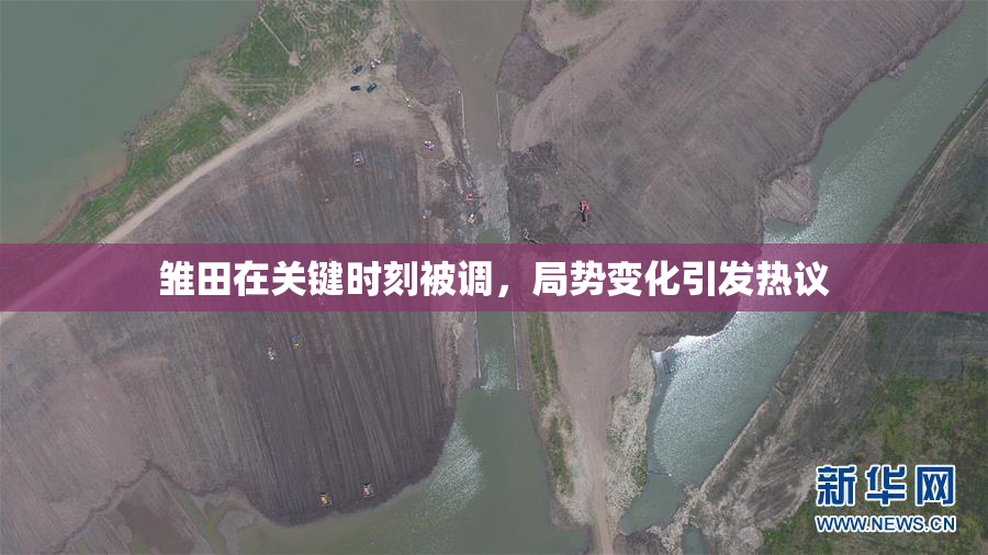 雏田在关键时刻被调，局势变化引发热议