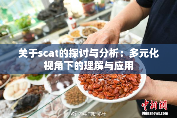 关于scat的探讨与分析：多元化视角下的理解与应用