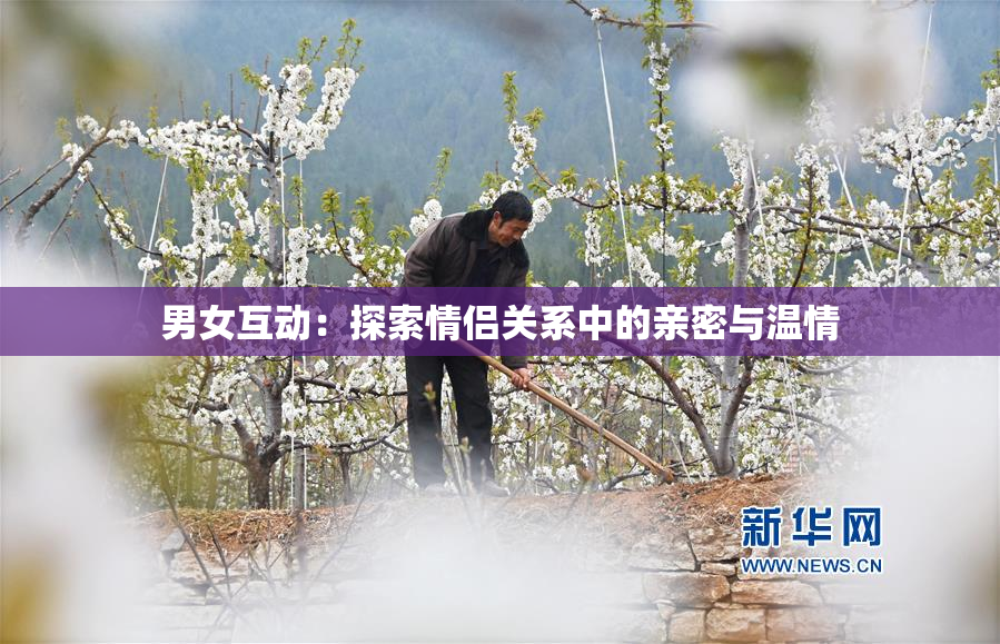 男女互动：探索情侣关系中的亲密与温情