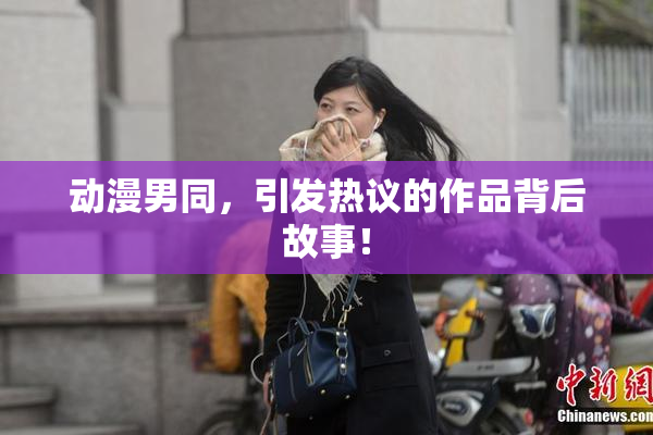动漫男同，引发热议的作品背后故事！