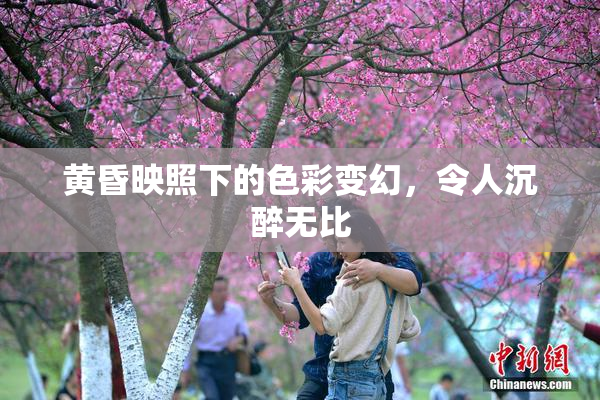 黄昏映照下的色彩变幻，令人沉醉无比