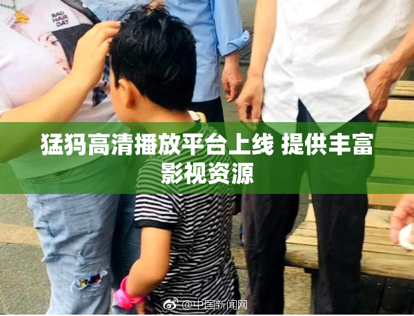 猛犸高清播放平台上线 提供丰富影视资源