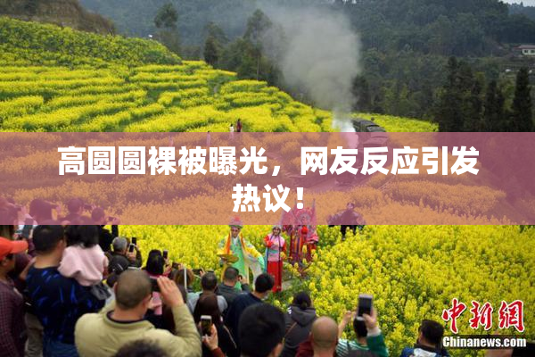 高圆圆裸被曝光，网友反应引发热议！