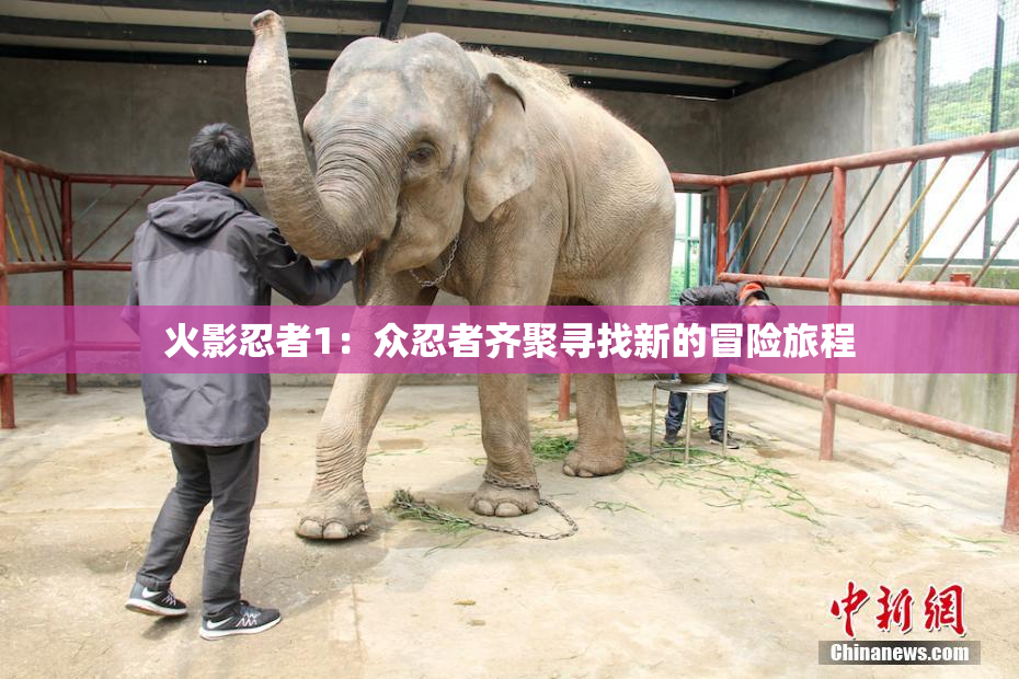 火影忍者1：众忍者齐聚寻找新的冒险旅程