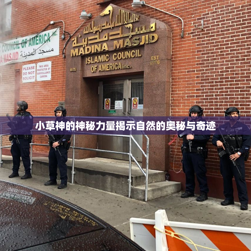 小草神的神秘力量揭示自然的奥秘与奇迹
