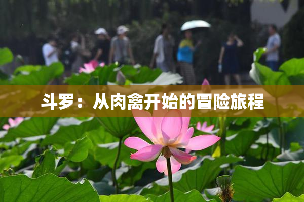 斗罗：从肉禽开始的冒险旅程
