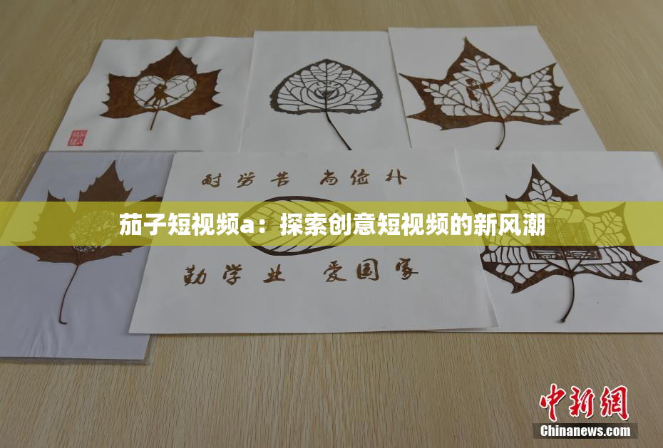 茄子短视频a：探索创意短视频的新风潮