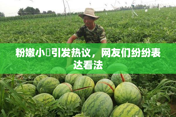 粉嫩小泬引发热议，网友们纷纷表达看法