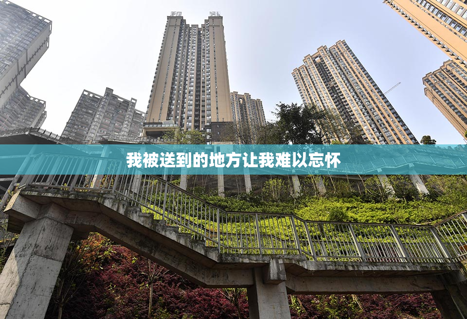 我被送到的地方让我难以忘怀