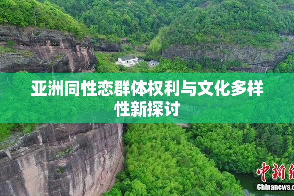 亚洲同性恋群体权利与文化多样性新探讨