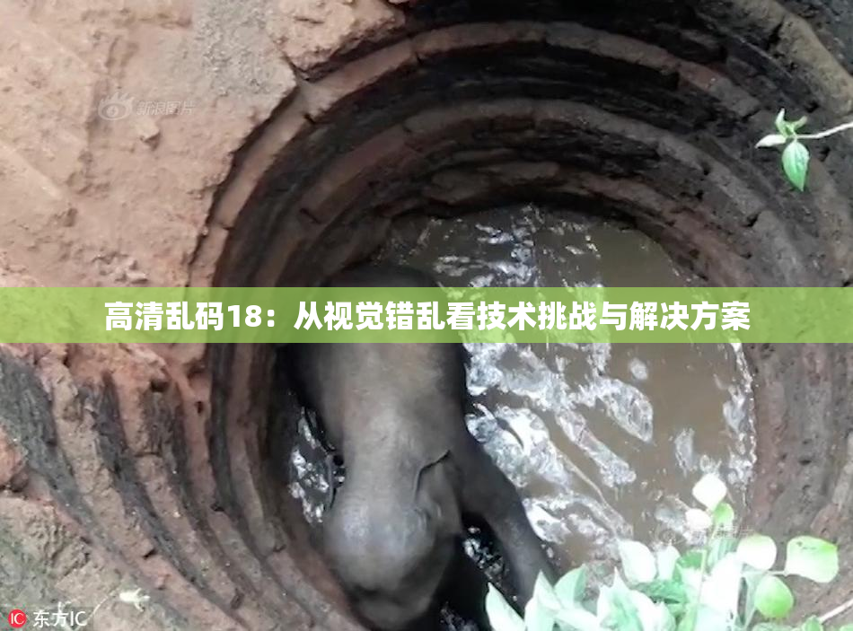 高清乱码18：从视觉错乱看技术挑战与解决方案