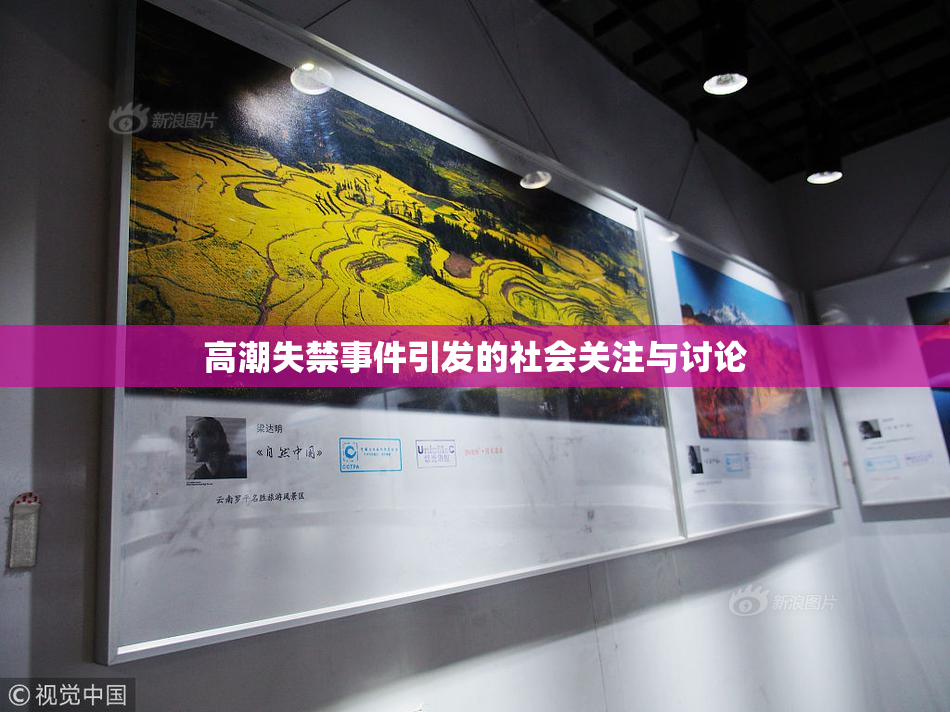 高潮失禁事件引发的社会关注与讨论
