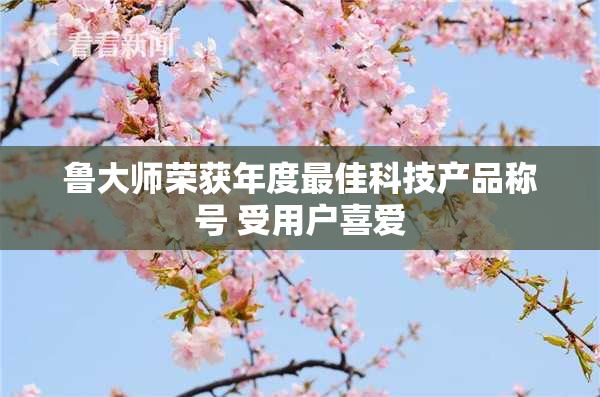 鲁大师荣获年度最佳科技产品称号 受用户喜爱