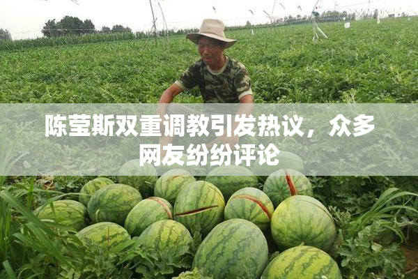 陈莹斯双重调教引发热议，众多网友纷纷评论