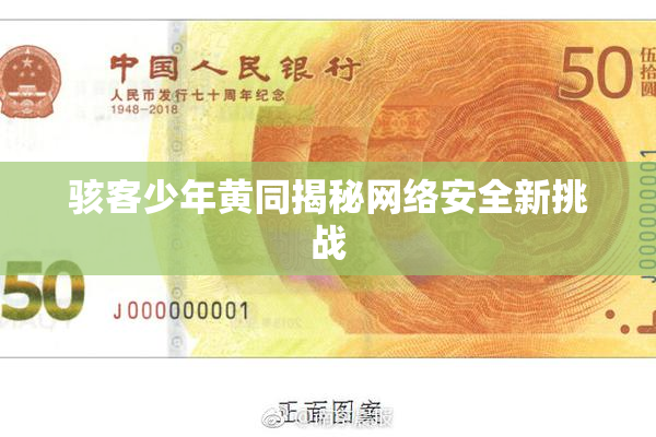 骇客少年黄同揭秘网络安全新挑战