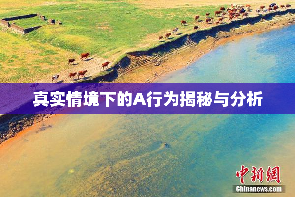 真实情境下的A行为揭秘与分析
