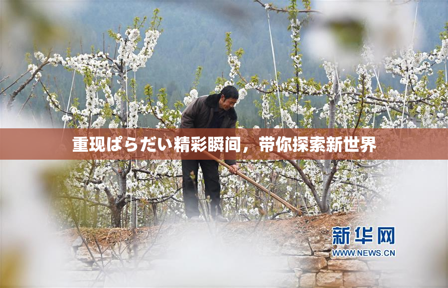 重现ぱらだい精彩瞬间，带你探索新世界