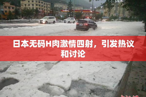 日本无码H肉激情四射，引发热议和讨论