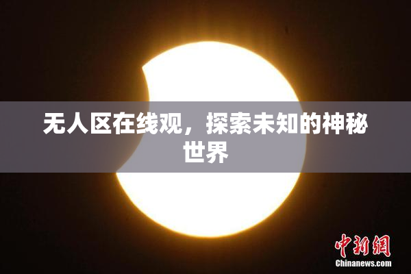 无人区在线观，探索未知的神秘世界
