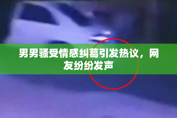 男男骚受情感纠葛引发热议，网友纷纷发声