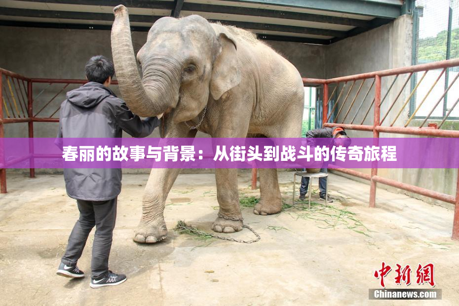 春丽的故事与背景：从街头到战斗的传奇旅程