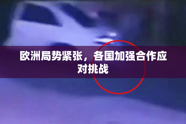 欧洲局势紧张，各国加强合作应对挑战