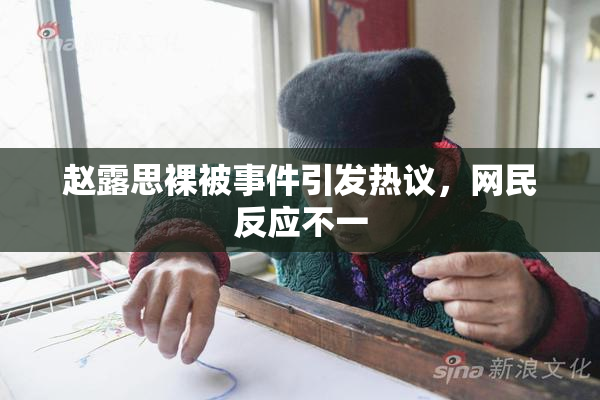 赵露思裸被事件引发热议，网民反应不一