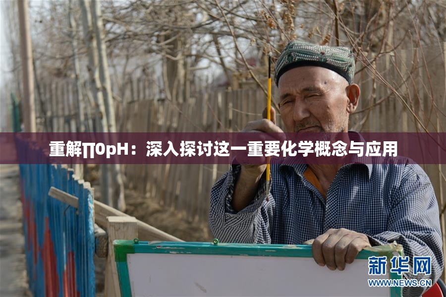 重解∏0pH：深入探讨这一重要化学概念与应用
