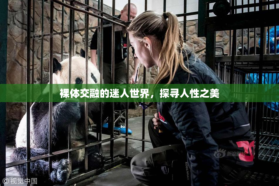 裸体交融的迷人世界，探寻人性之美
