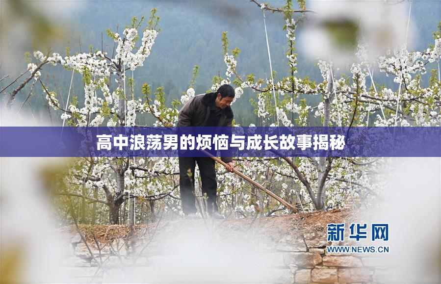 高中浪荡男的烦恼与成长故事揭秘