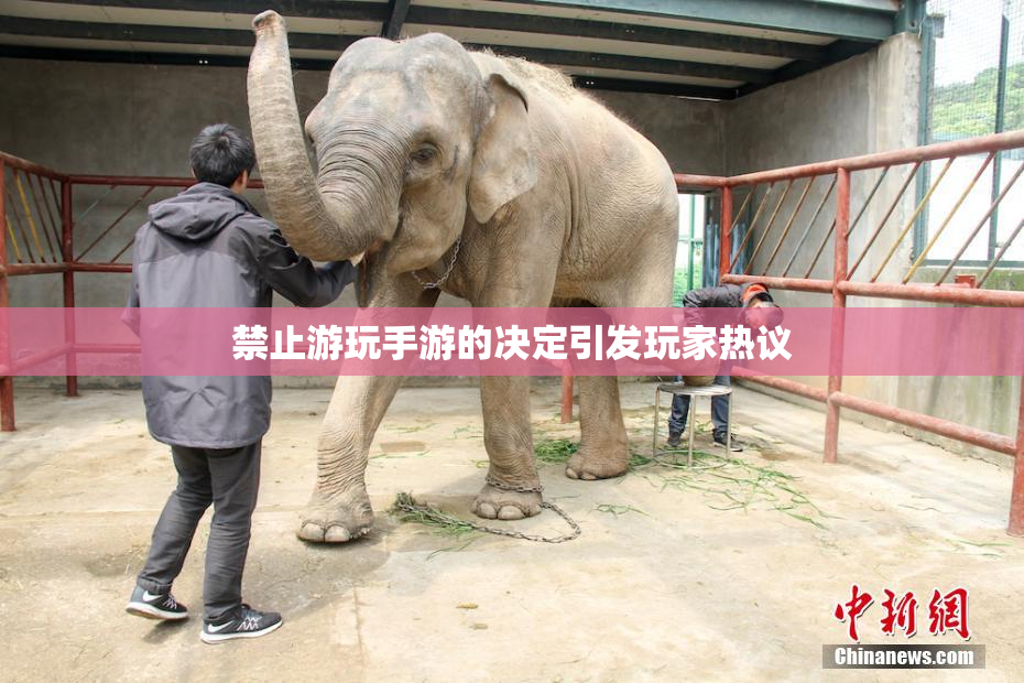 禁止游玩手游的决定引发玩家热议