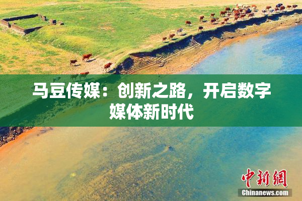 马豆传媒：创新之路，开启数字媒体新时代