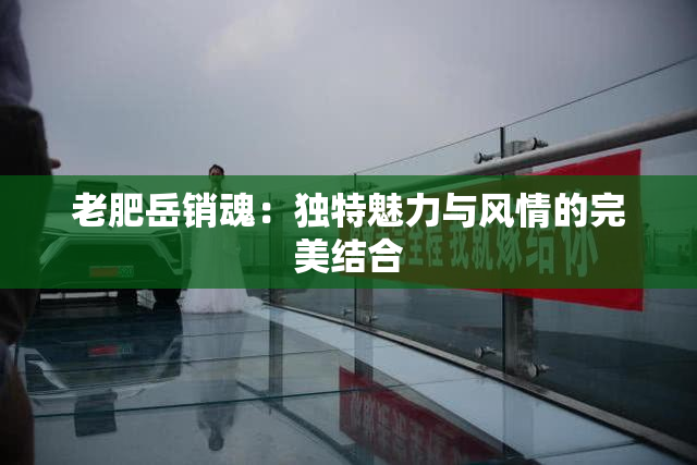 老肥岳销魂：独特魅力与风情的完美结合