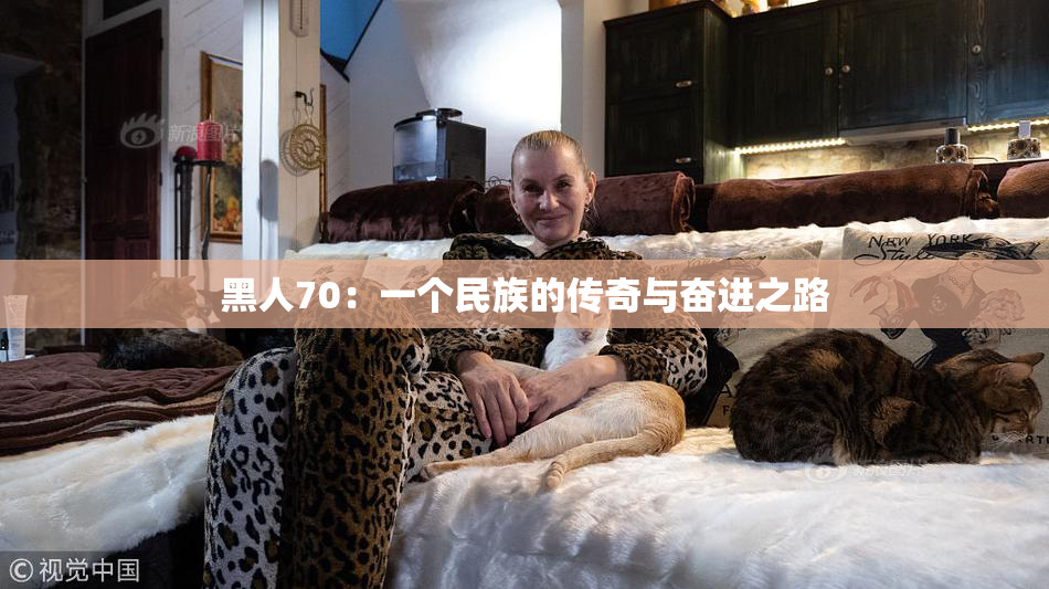 黑人70：一个民族的传奇与奋进之路