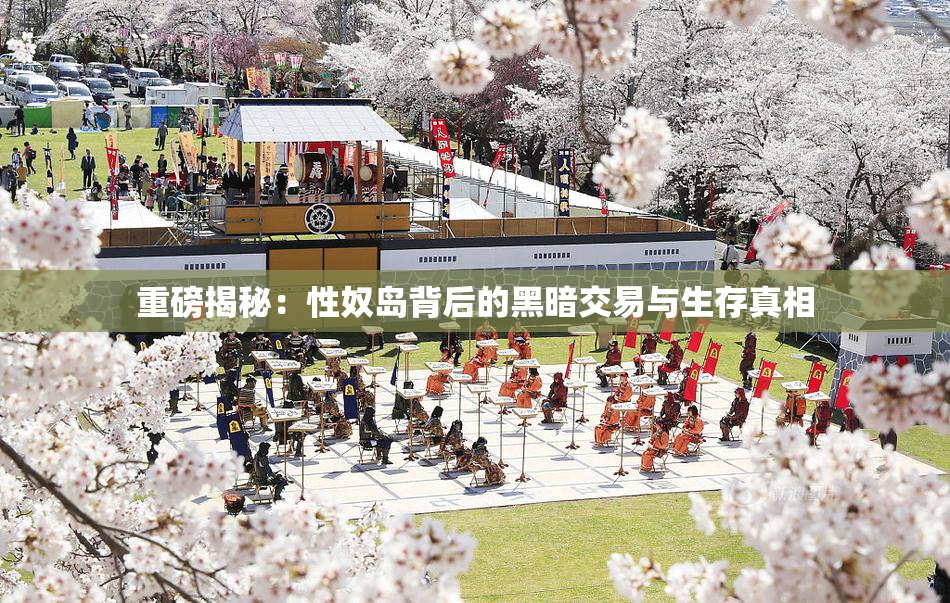 重磅揭秘：性奴岛背后的黑暗交易与生存真相