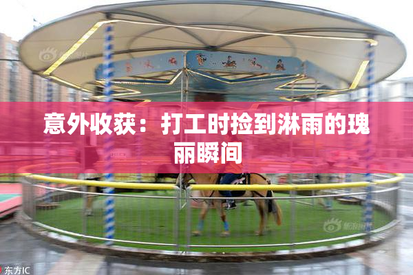 意外收获：打工时捡到淋雨的瑰丽瞬间