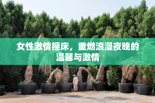女性激情摇床，重燃浪漫夜晚的温馨与激情