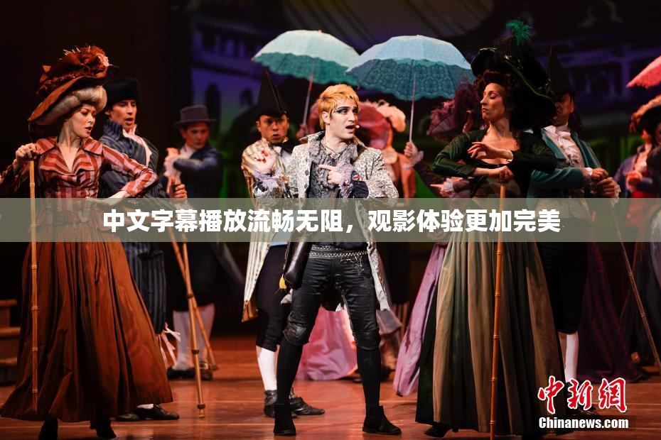 中文字幕播放流畅无阻，观影体验更加完美