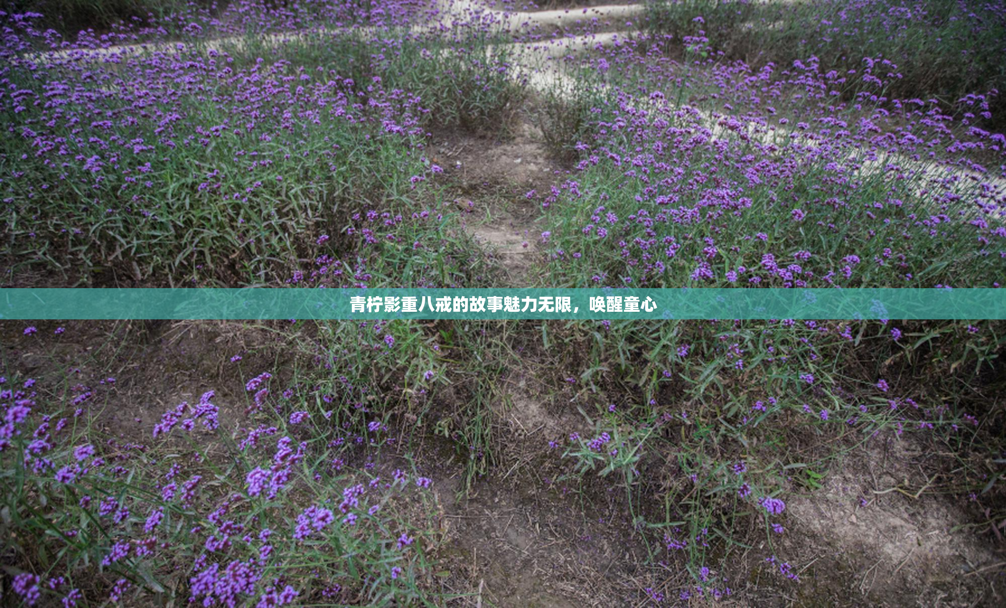 青柠影重八戒的故事魅力无限，唤醒童心