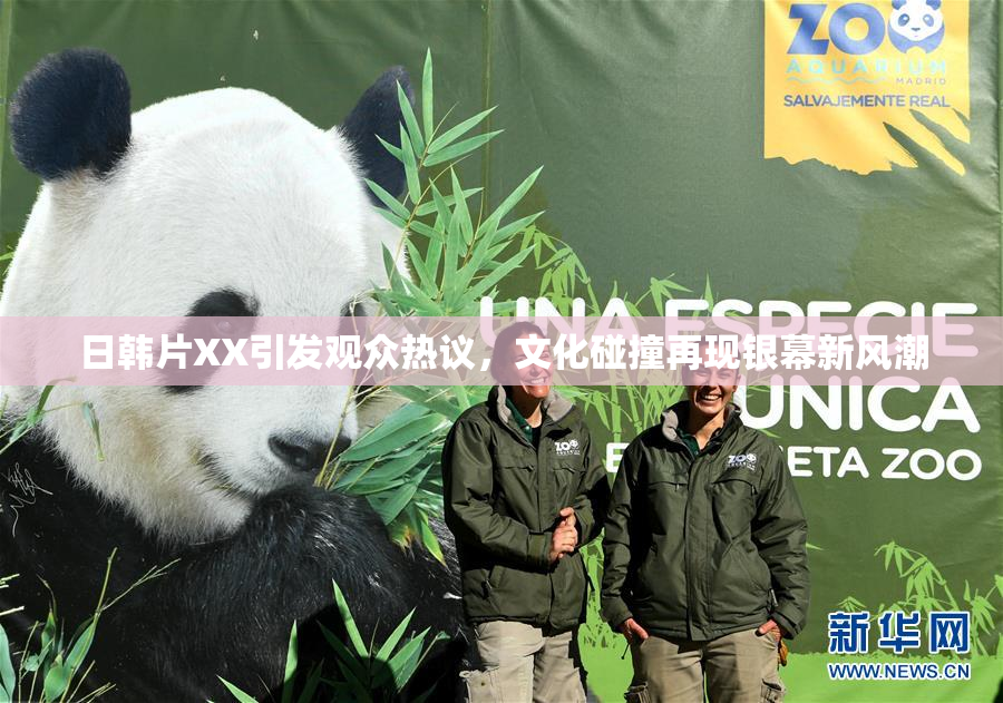 日韩片XX引发观众热议，文化碰撞再现银幕新风潮