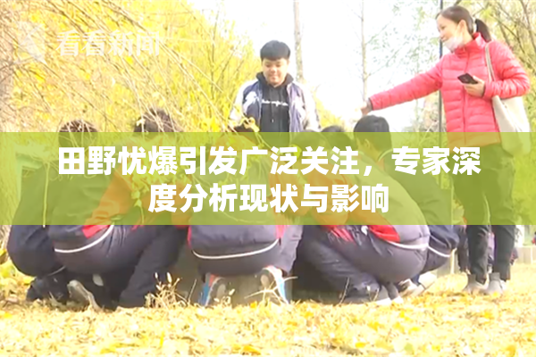田野忧爆引发广泛关注，专家深度分析现状与影响