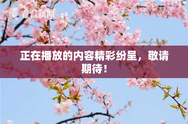 正在播放的内容精彩纷呈，敬请期待！